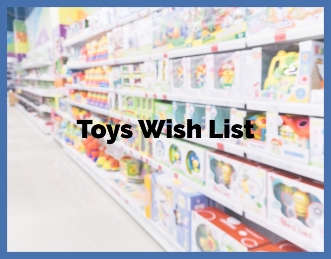 House Toys Wish List