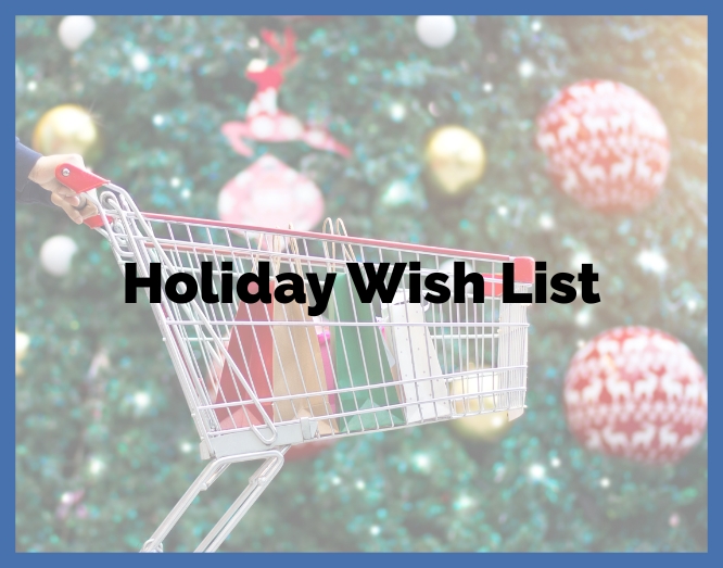 Family Room Holiday Wish List