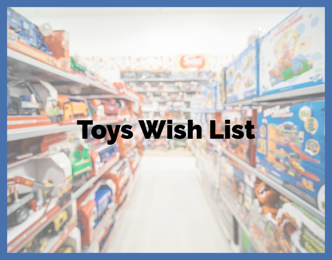 Family Room Toys Wish List