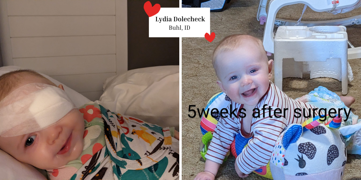 Dolecheck Family Story Website Image